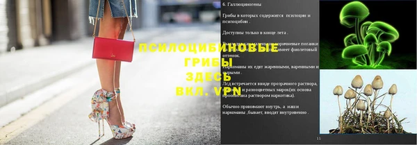 не бодяженный Заводоуковск